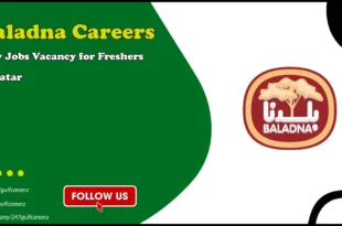 Baladna Careers